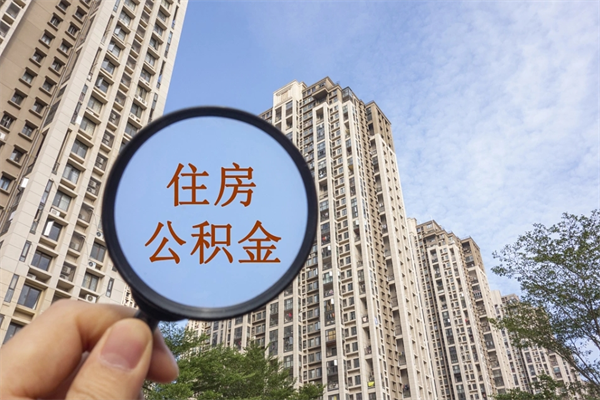 漯河上海封存公积金提取代办（漯河上海封存公积金提取条件）